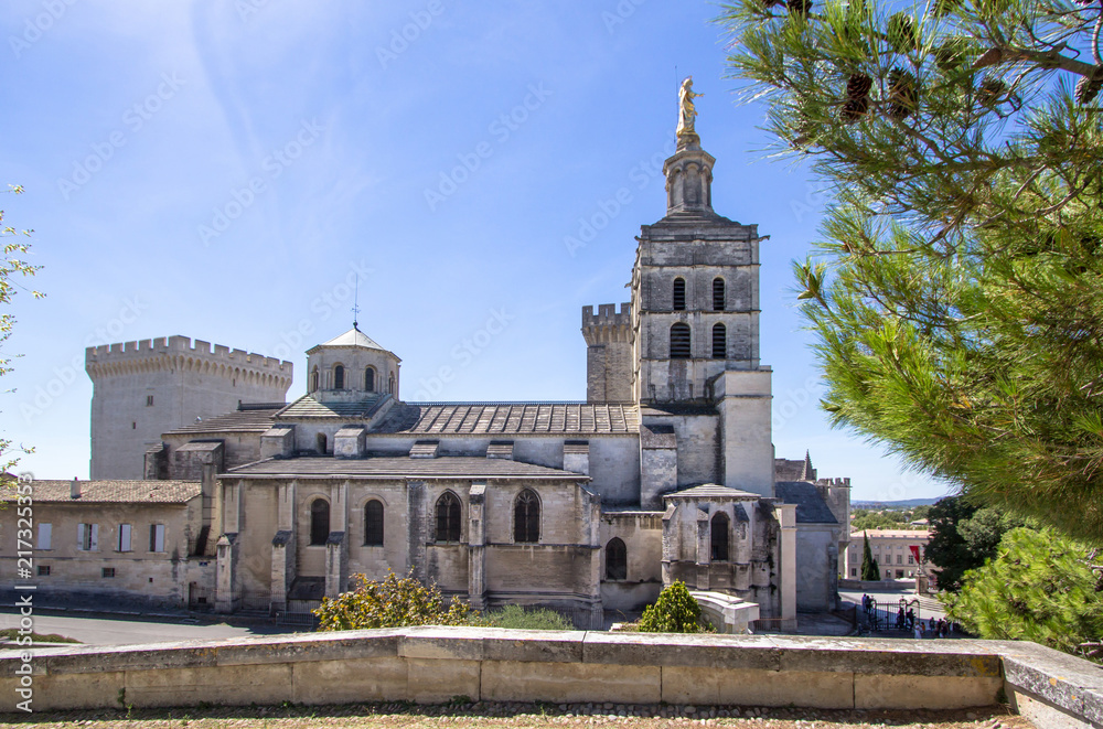 Obraz premium Popes Palace in Avignon, France
