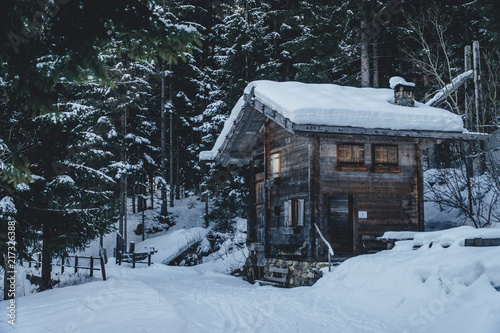 Holzhaus im Winterwald