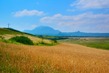Bread field, sky, mountains