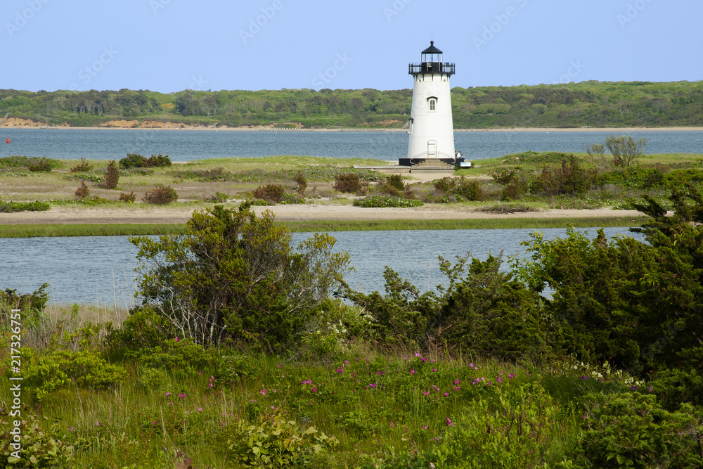 Harbor Lighthouse Surrounded by Roses and Wildflowers on Martha's Vineyard Island