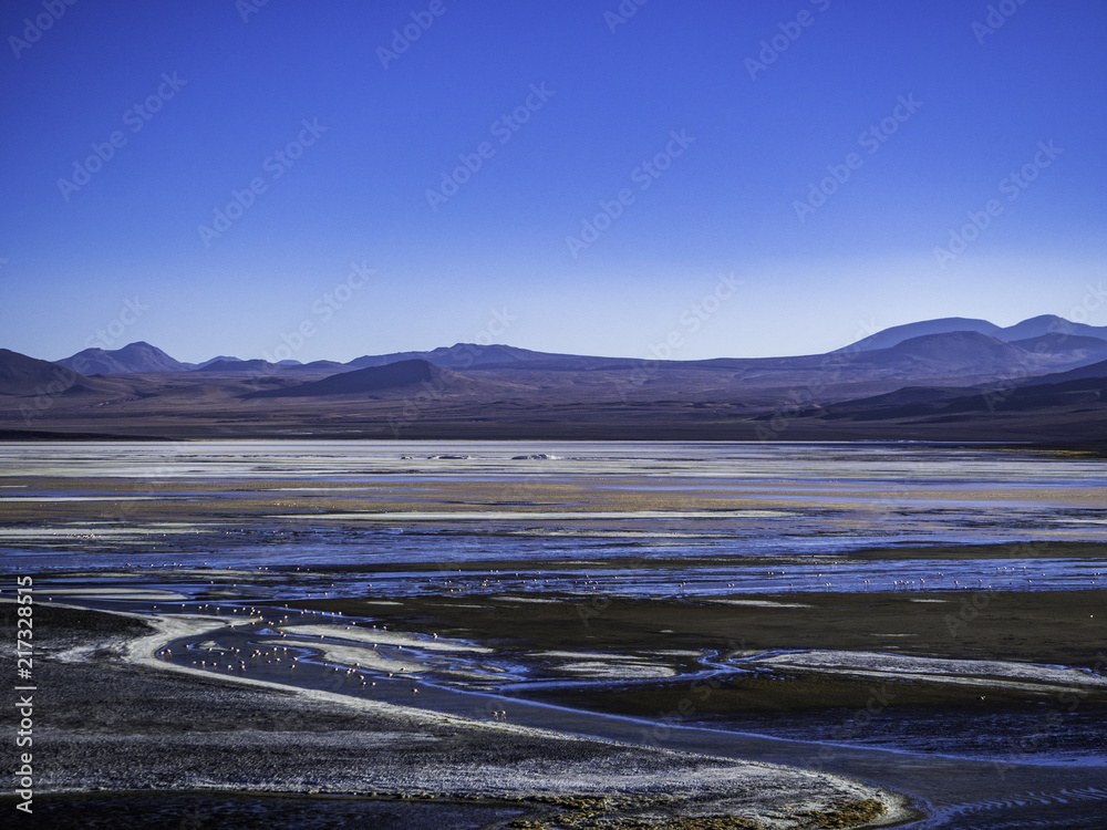 Colourful lagoon and flamingos in Laguna Colorado in Bolivia
