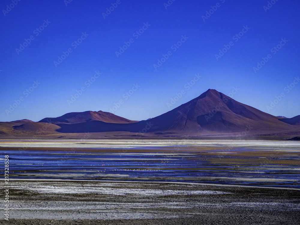Scenic lagoon landscape of Laguna Colorado in Bolivia