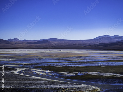 Obraz na płótnie Colourful lagoon and flamingos in Laguna Colorado in Bolivia w salonie
