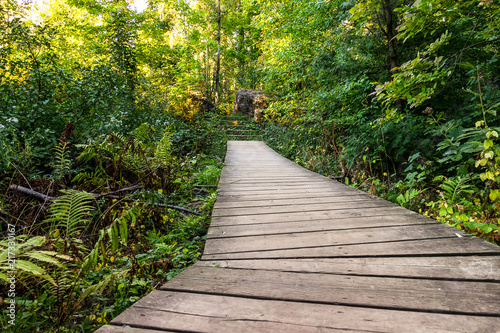 A beautiful trail surrounded by greenery of summer