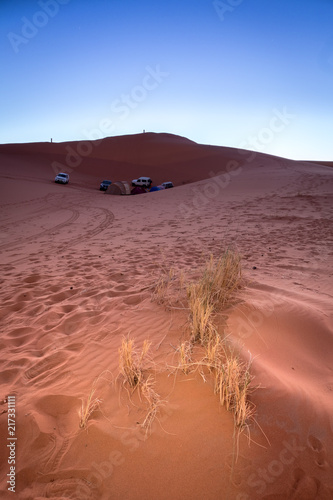 Campamento entre dunas photo