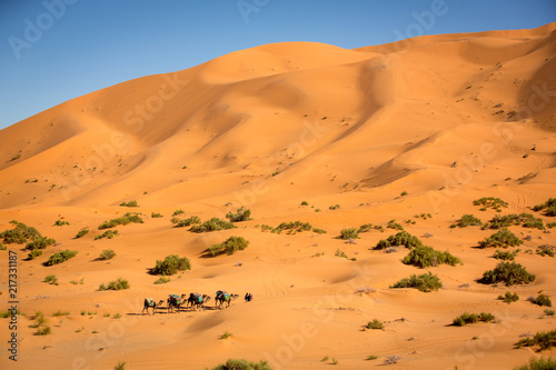 Caravana en el desierto