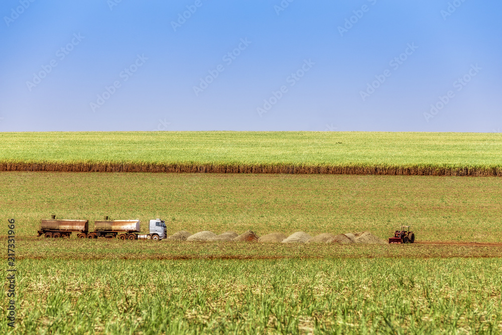 Sugar cane plantation at brazil's countryside Sugar cane plantation at brazil's countryside