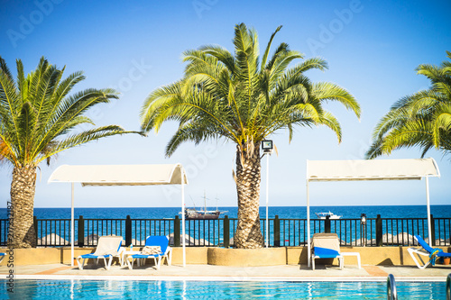 Tropical hotel beach palms pool and longue.