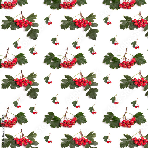 pattern berry red whitethorn on a branch with green leaves
