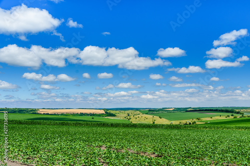 Beautiful landscape with green fields under blue sky