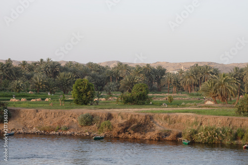 Plantation and hills