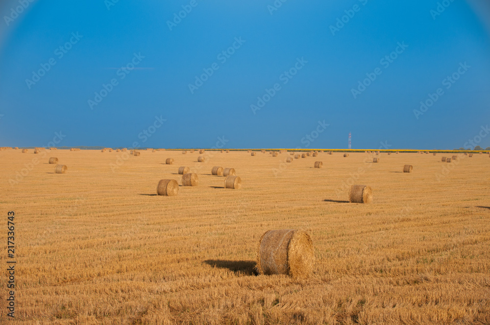 Beautiful countryside landscape. Round straw bales in harvested fields and blue sky with clouds