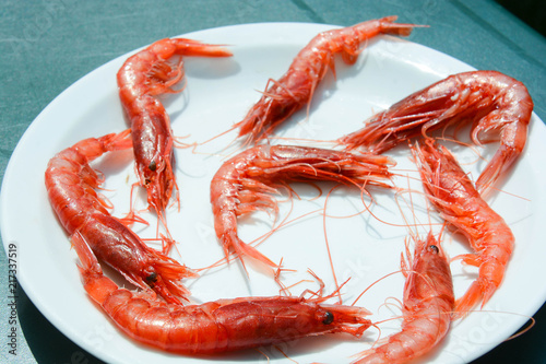 red shrimps