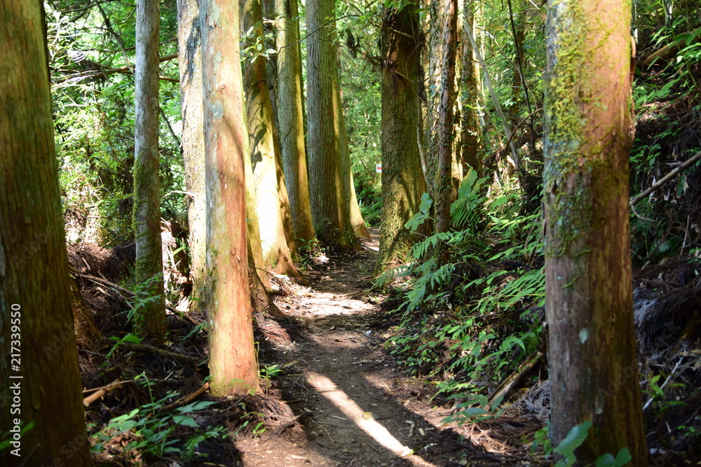 Obraz premium 伊尾木洞