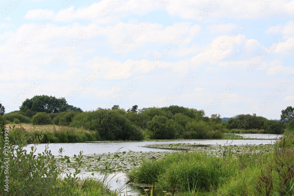 Naturschutzgebiet Breites Wasser im Teufelsmoor im Sommer