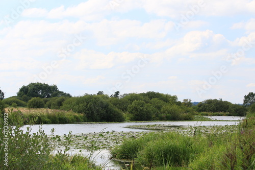 Obraz na płótnie Naturschutzgebiet Breites Wasser im Teufelsmoor im Sommer w salonie
