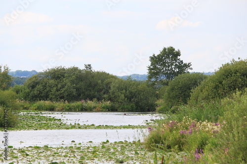 Naturschutzgebiet Breites Wasser im Teufelsmoor im Sommer