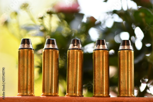Φωτογραφία Caliber .44 magnum revolver ammunition isolated on a board.