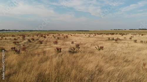 The floodplain area of the Vistula River.