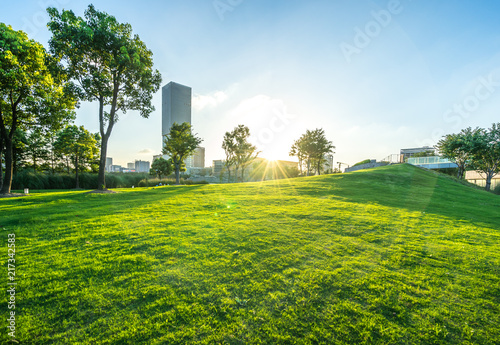 green lawn in the park