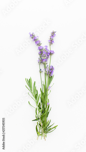 Fototapeta Naklejka Na Ścianę i Meble -  Fresh sprigs of lavender flowers on a white background