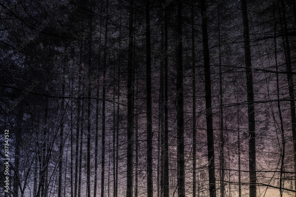 tree in space tree in space