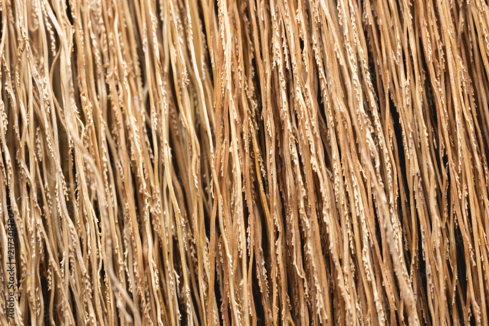 Detail of broom