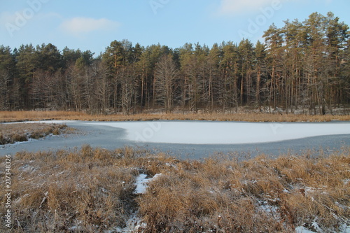 Wallpaper Mural frost Torontodigital.ca