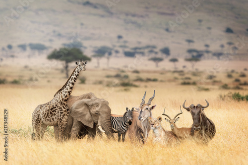 Fototapeta Naklejka Na Ścianę i Meble -  African Safari Animals in Dreamy Kenya Scene