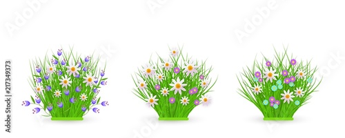 Spring and summer floral bundles of different widths set with fresh white chamomiles and wild little flowers on green grass - beautiful seasonal blooms on greenery in isolated vector illustration.