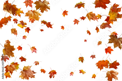 Fotografie border frame of colorful autumn leaves isolated on white