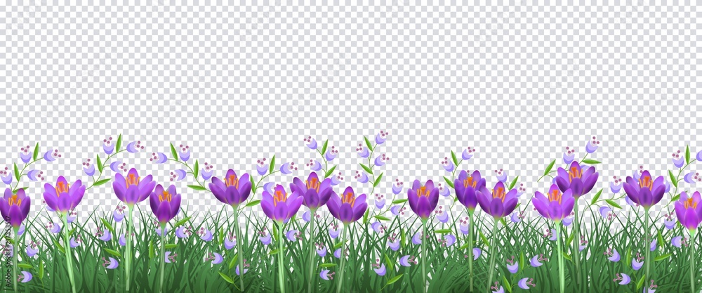 Φωτογραφία Spring floral border with bright purple crocuses and little blue wild flowers on fresh green grass on transparent background - decorative frame with blooms and greenery in vector illustration