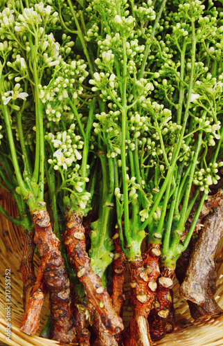 Health Benefits of Neem flower or  Indian Lilac homoeopathic medicines and Kills Head Lice.
Azadirachta indica flower in basket on wooden background. photo