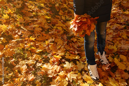 Feet sneakers moving forward on autumn maple leaves background. Autumn season concept. Bouquet of maple leaves