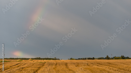 Rainbow over a field on a hot summer stormy day with a dark sky in the background.