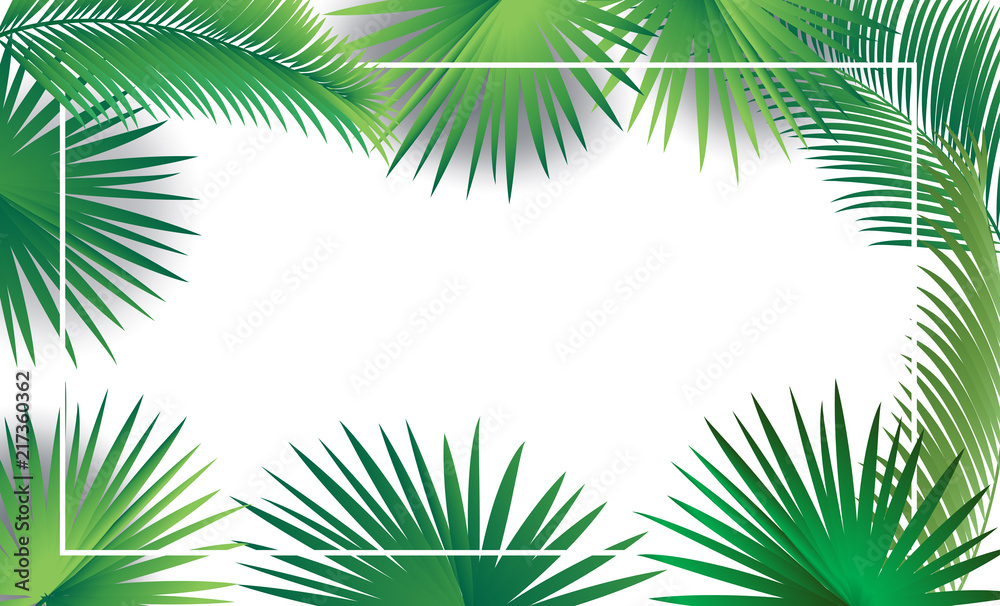 Tropical palm leaves frame, copy space, greenery, leafs, decoration. Vector illustration