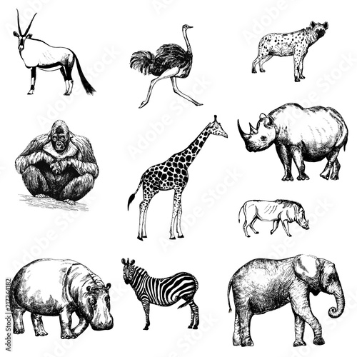 Set of hand drawn sketch style African animals isolated on white background. Vector illustration.