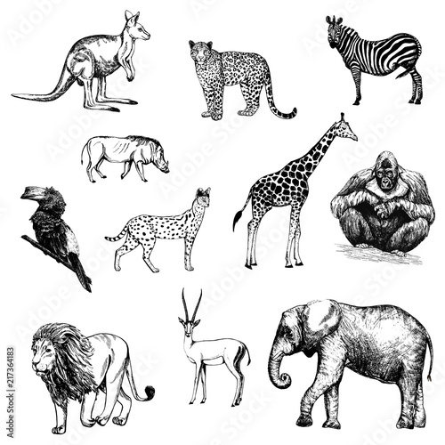Set of hand drawn sketch style animals isolated on white background. Vector illustration.