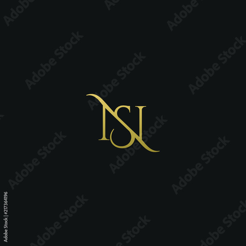 Unique modern elegant NS black and gold color initial based letter icon logo