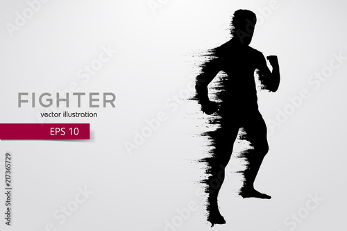 Boxing silhouette. Boxing. Vector illustration