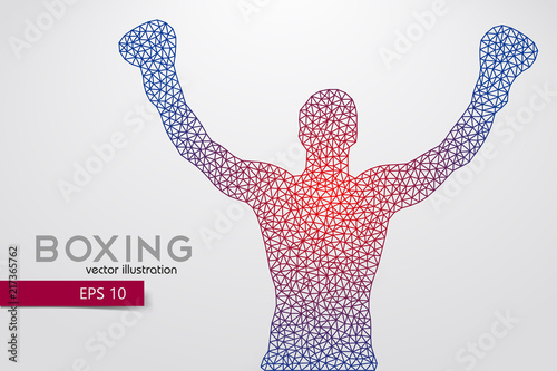 Boxing silhouette. Boxing. Vector illustration