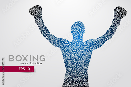 Boxing silhouette. Boxing. Vector illustration
