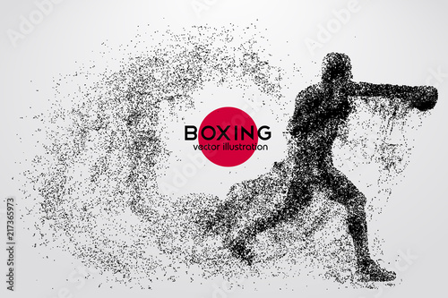 Boxing silhouette. Boxing. Vector illustration