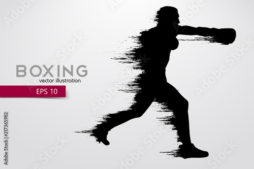 Boxing silhouette. Boxing. Vector illustration