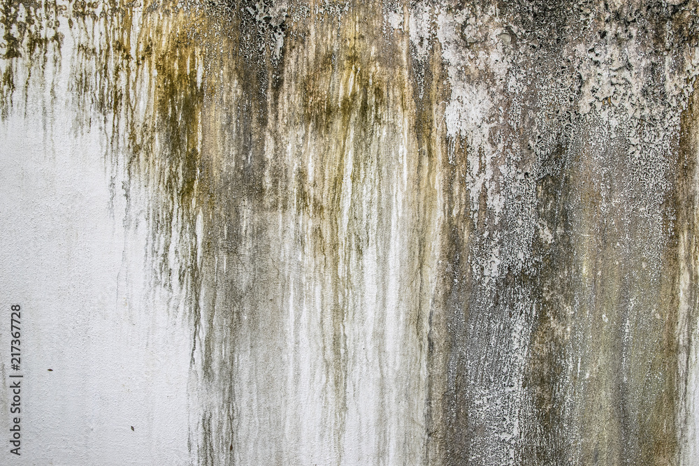 Fototapeta premium Grunge painted concrete wall texture