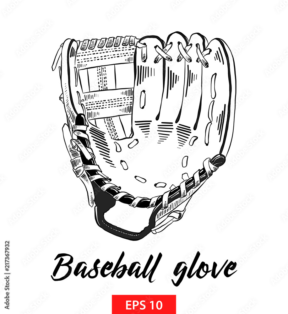 Vector engraved style illustration for posters, decoration and print. Hand  drawn sketch of baseball glove in black isolated on white background.  Detailed vintage etching style drawing. Stock-vektor | Adobe Stock