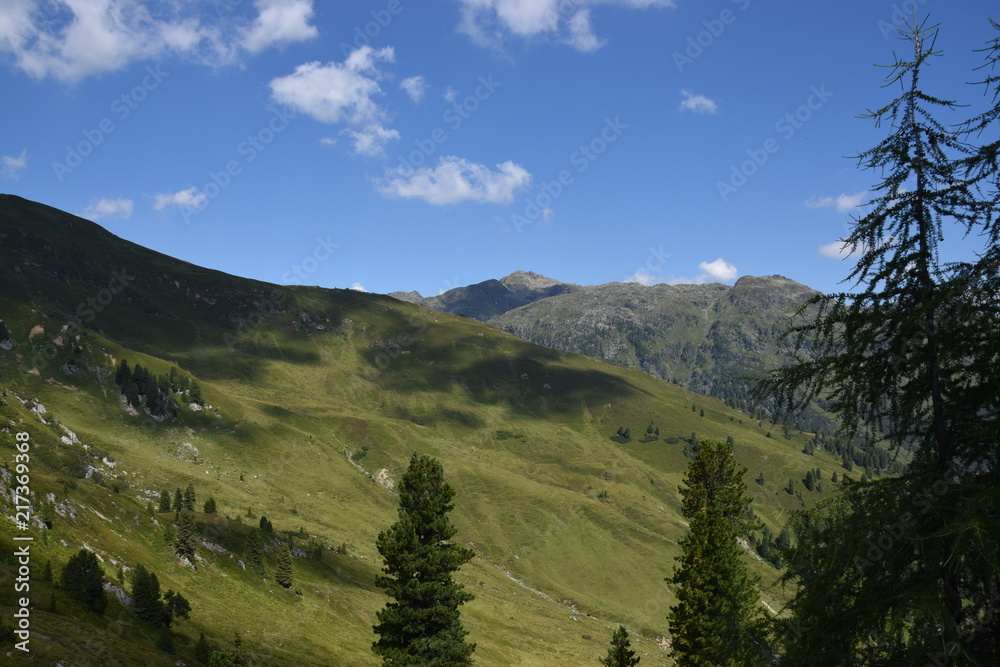 Fototapeta premium landscape in austia