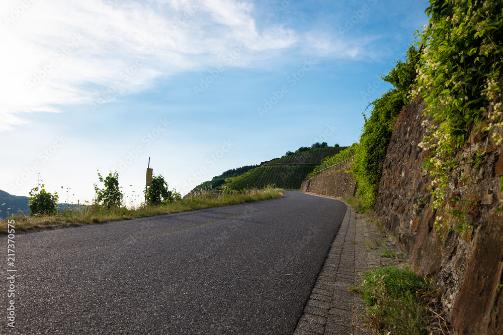 A road leading to a hill of vine plantation on a beautiful hot, sunny, summer day in western Germany.