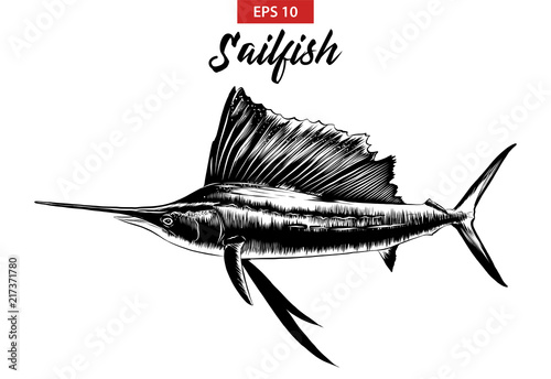 Vector engraved style illustration for posters, decoration and print. Hand drawn sketch of sailfish in black isolated on white background. Detailed vintage etching style drawing. photo
