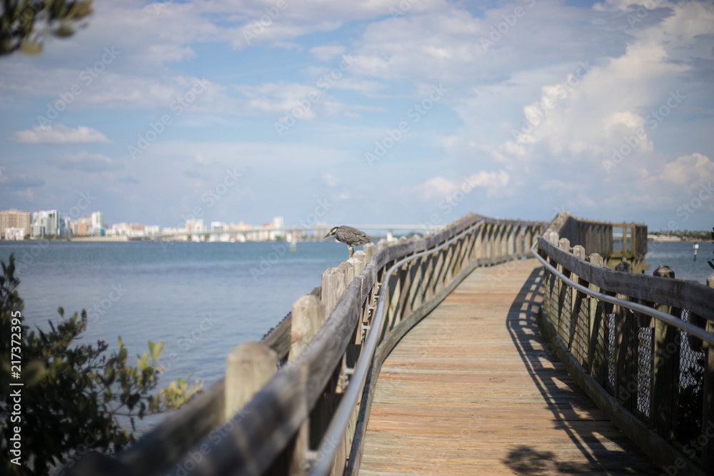Peaceful Florida Boardwalk Pier with Wild Bird in front of Beautiful Downtown City